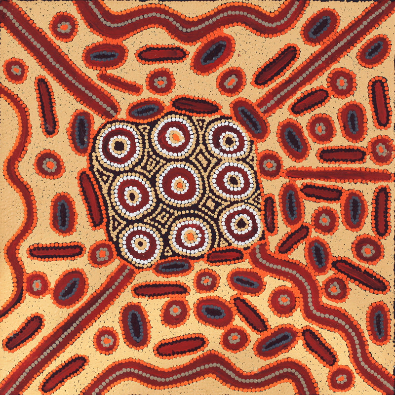 Aboriginal Artwork by Freda Napaljarri Jurrah, Witi Jukurrpa (Ceremonial Pole Dreaming) - Yanjirlpiri, 61x61cm