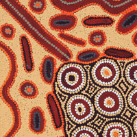 Aboriginal Artwork by Freda Napaljarri Jurrah, Witi Jukurrpa (Ceremonial Pole Dreaming) - Yanjirlpiri, 61x61cm