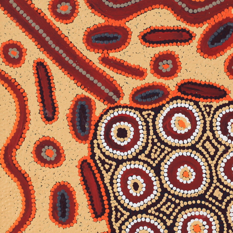 Aboriginal Artwork by Freda Napaljarri Jurrah, Witi Jukurrpa (Ceremonial Pole Dreaming) - Yanjirlpiri, 61x61cm