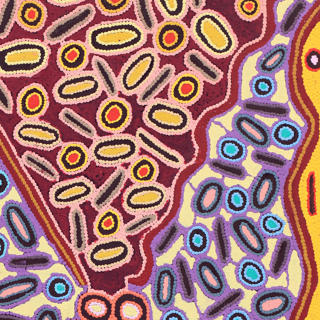 Aboriginal Artwork by Freda Napaljarri Jurrah, Witi Jukurrpa (Ceremonial Pole Dreaming) - Yanjirlpiri, 107x61cm