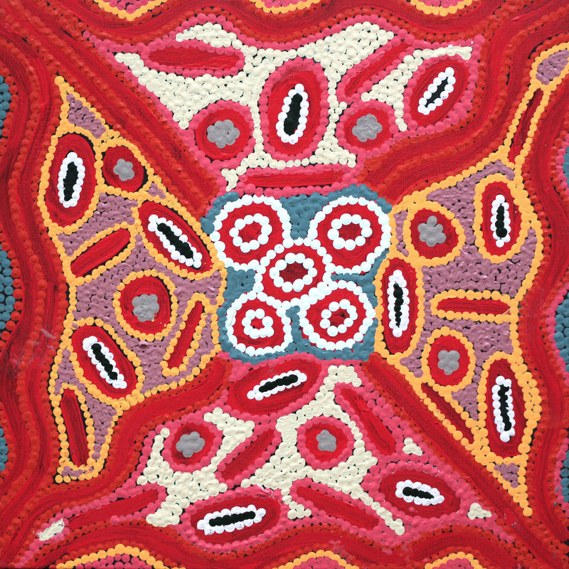 Aboriginal Artwork by Freda Napaljarri Jurrah, Witi Jukurrpa (Ceremonial Pole Dreaming) - Jirla, 30x30cm