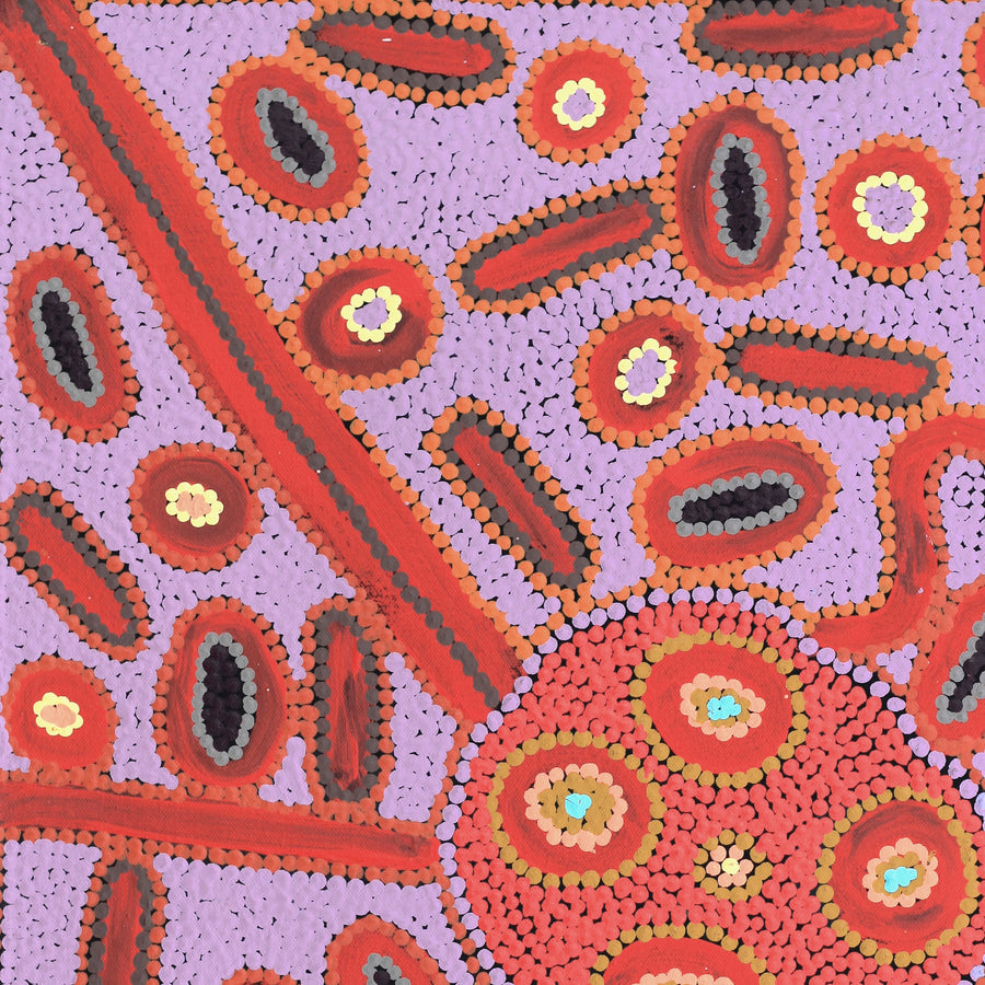 Aboriginal Artwork by Freda Napaljarri Jurrah, Witi Jukurrpa (Ceremonial Pole Dreaming) - Jirla, 61x46cm