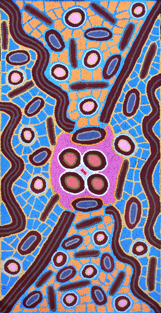 Aboriginal Artwork by Freda Napaljarri Jurrah, Witi Jukurrpa (Ceremonial Pole Dreaming) - Jirla, 91x46cm