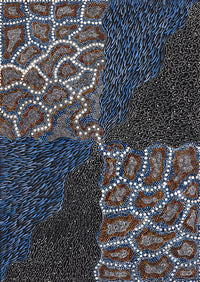 Aboriginal Artwork by Grace Napangardi Butcher, Pikilyi Jukurrpa (Vaughan Springs Dreaming), 107x76cm