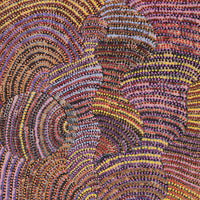 Aboriginal Artwork by Grace Napangardi Butcher, Pikilyi Jukurrpa (Vaughan Springs Dreaming), 152x61cm