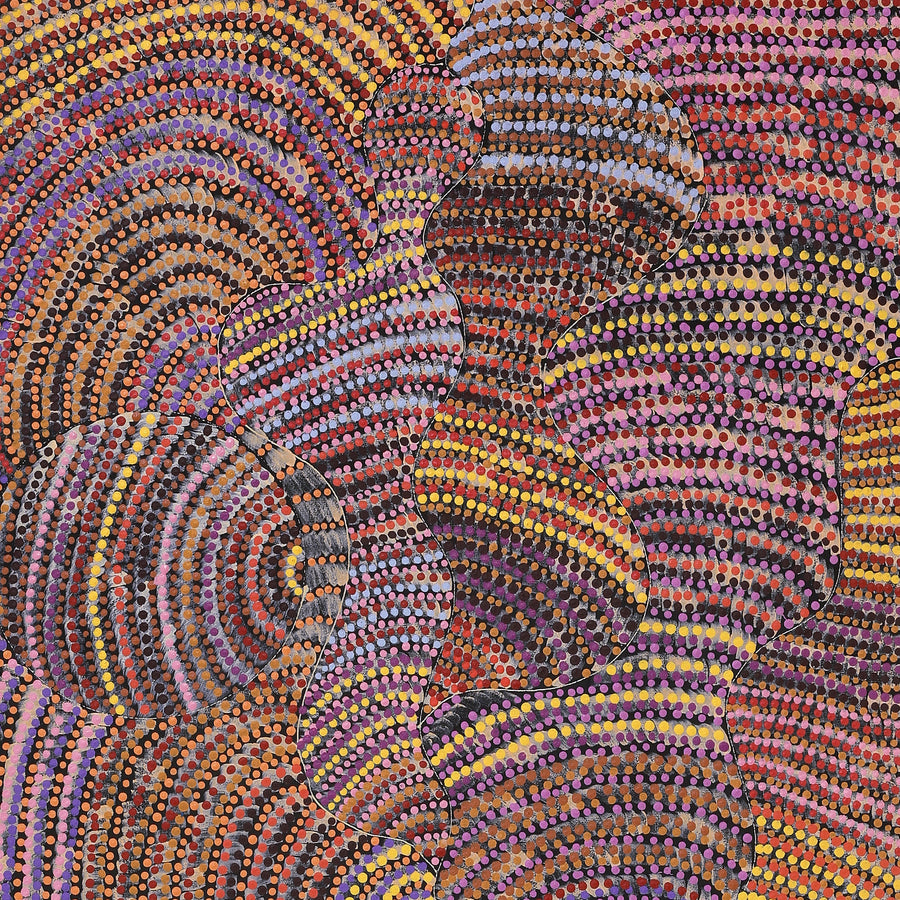 Aboriginal Artwork by Grace Napangardi Butcher, Pikilyi Jukurrpa (Vaughan Springs Dreaming), 152x61cm