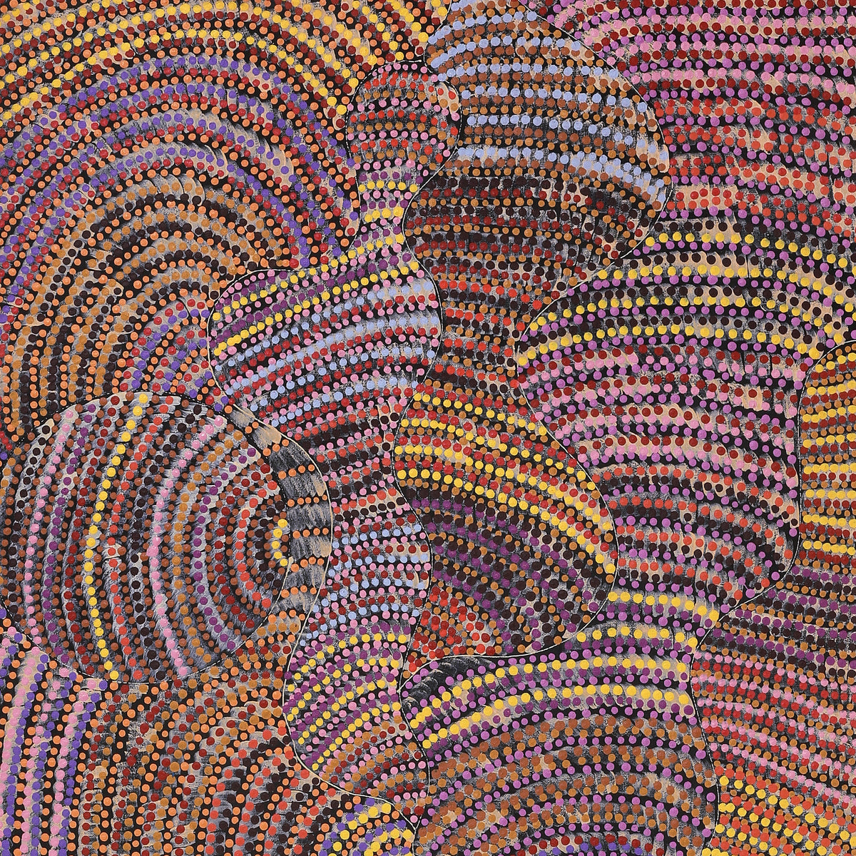 Aboriginal Art by Grace Napangardi Butcher, Pikilyi Jukurrpa (Vaughan Springs Dreaming), 152x61cm - ART ARK®