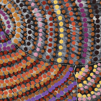 Aboriginal Artwork by Grace Napangardi Butcher, Pikilyi Jukurrpa (Vaughan Springs Dreaming), 152x61cm