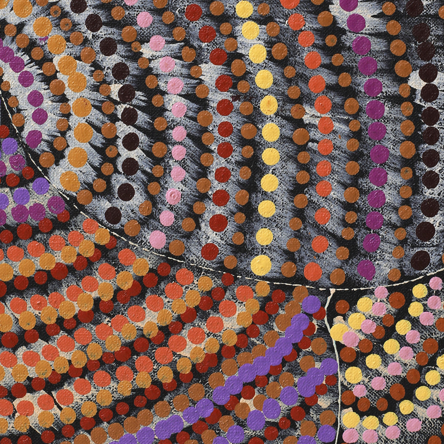 Aboriginal Artwork by Grace Napangardi Butcher, Pikilyi Jukurrpa (Vaughan Springs Dreaming), 152x61cm