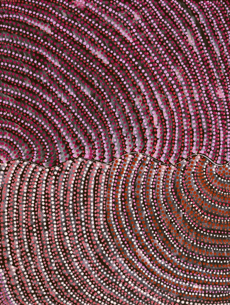 Aboriginal Artwork by Grace Napangardi Butcher, Pikilyi Jukurrpa (Vaughan Springs Dreaming), 61x46cm