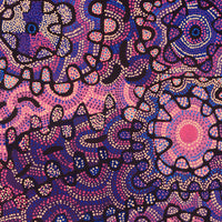 Aboriginal Artwork by Gayle Napangardi Gibson, Mina Mina Jukurrpa - Ngalyipi, 122x107cm
