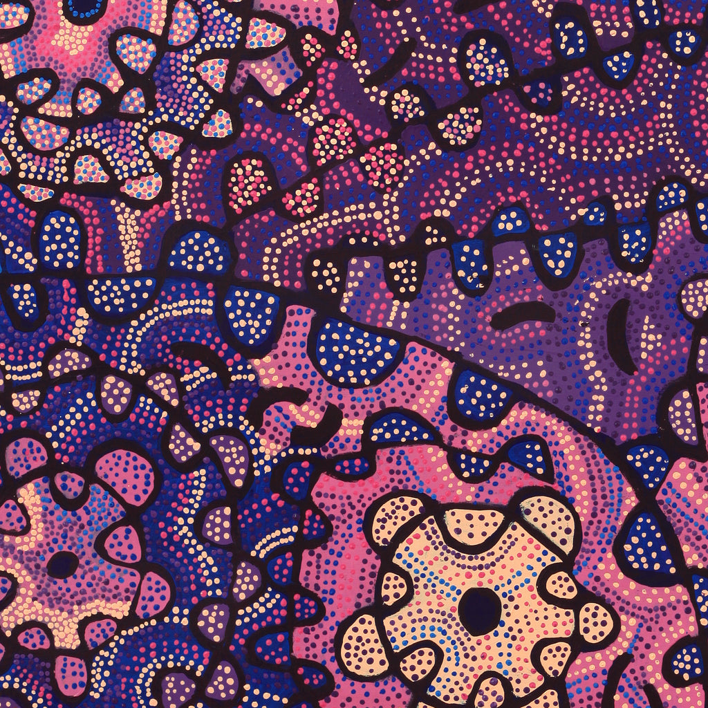 Aboriginal Artwork by Gayle Napangardi Gibson, Mina Mina Jukurrpa - Ngalyipi, 122x107cm