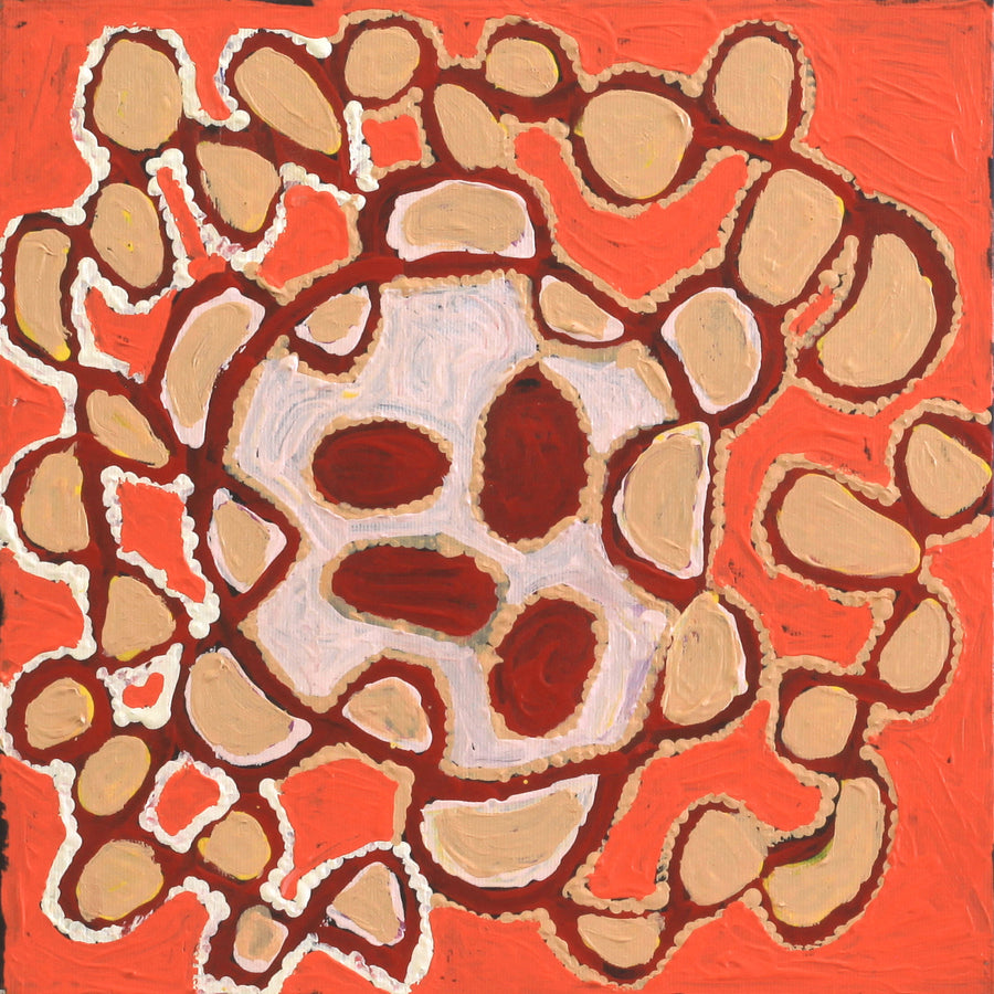 Aboriginal Artwork by Gayle Napangardi Gibson, Mina Mina Jukurrpa - Ngalyipi, 30x30cm