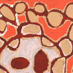 Aboriginal Artwork by Gayle Napangardi Gibson, Mina Mina Jukurrpa -  Ngalyipi, 30x30cm - ART ARK®