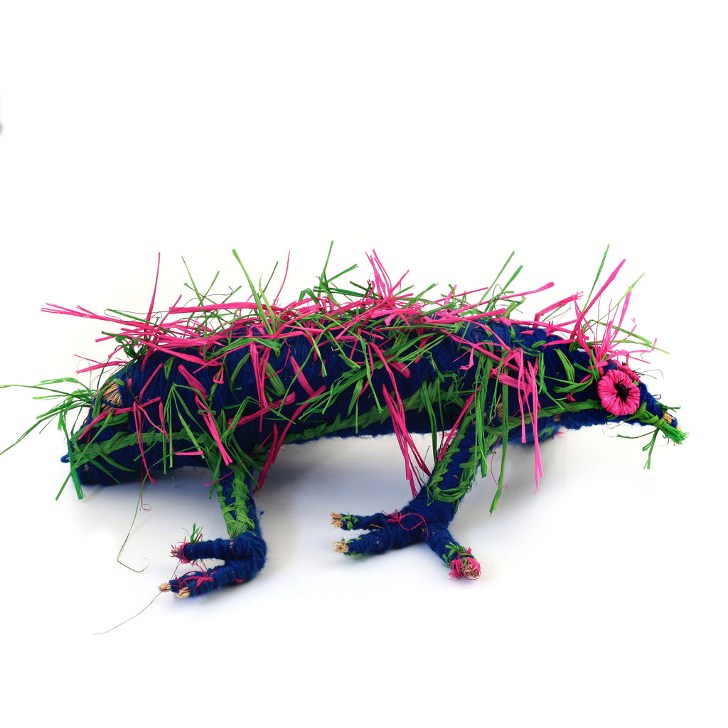 Aboriginal Artwork by Gemma Elliot - Tjanpi Echidna Sculpture