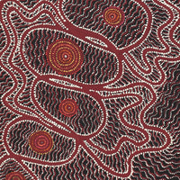 Aboriginal Artwork by Geraldine Napangardi Granites, Ngalyipi Jukurrpa (Snake Vine Dreaming) - Purturlu, 107x46cm