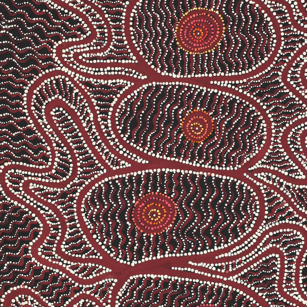 Aboriginal Artwork by Geraldine Napangardi Granites, Ngalyipi Jukurrpa (Snake Vine Dreaming) - Purturlu, 107x46cm