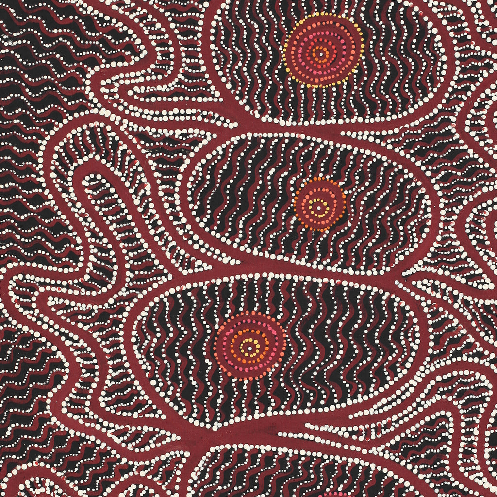 Aboriginal Artwork by Geraldine Napangardi Granites, Ngalyipi Jukurrpa (Snake Vine Dreaming) - Purturlu, 107x46cm - ART ARK®