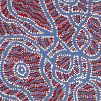 Aboriginal Artwork by Geraldine Napangardi Granites, Ngalyipi Jukurrpa (Snake Vine Dreaming) - Yanjirlpiri, 122x30cm