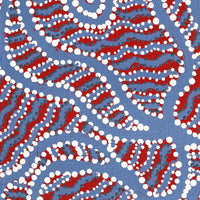 Aboriginal Artwork by Geraldine Napangardi Granites, Ngalyipi Jukurrpa (Snake Vine Dreaming) - Yanjirlpiri, 122x30cm