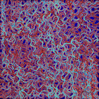 Aboriginal Artwork by Geraldine Napangardi Granites, Snake Vine Dreaming - Yanjirlpiri, 46x46cm