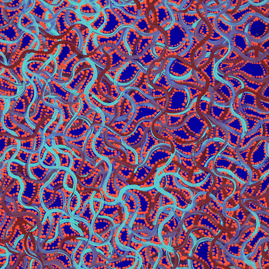 Aboriginal Artwork by Geraldine Napangardi Granites, Snake Vine Dreaming - Yanjirlpiri, 46x46cm