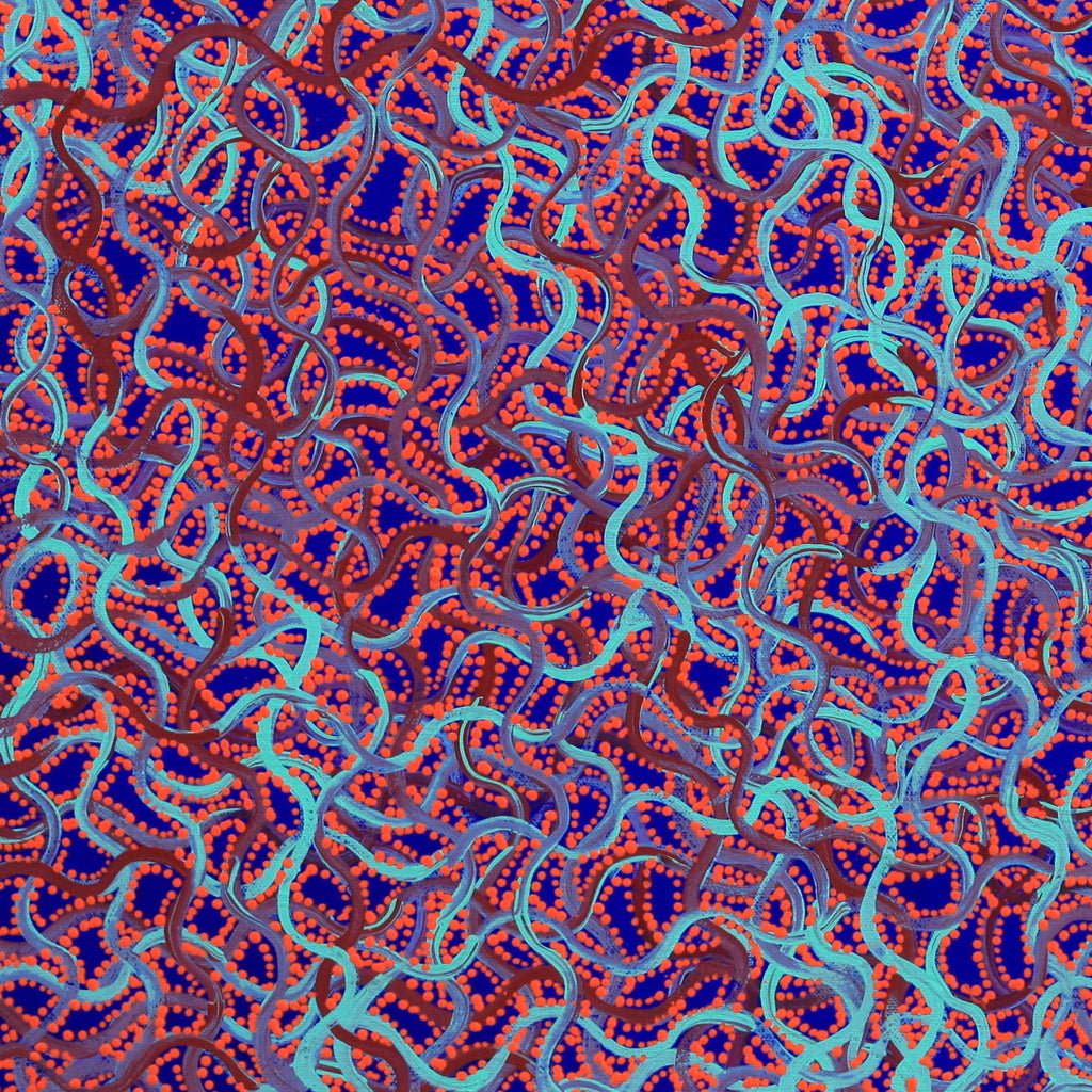 Aboriginal Artwork by Geraldine Napangardi Granites, Snake Vine Dreaming - Yanjirlpiri, 46x46cm