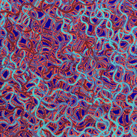 Aboriginal Artwork by Geraldine Napangardi Granites, Snake Vine Dreaming - Yanjirlpiri, 46x46cm