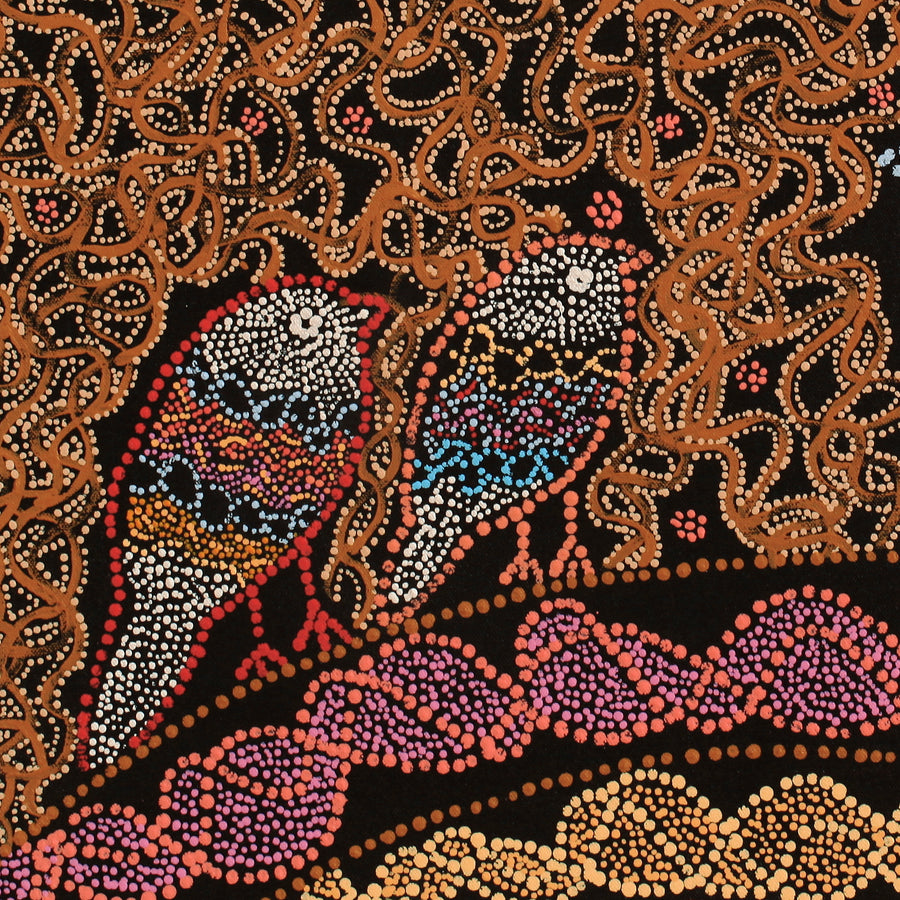 Aboriginal Artwork by Geraldine Napangardi Granites, Ngalyipi Jukurrpa (Snake Vine Dreaming) - Purturlu, 61x46cm