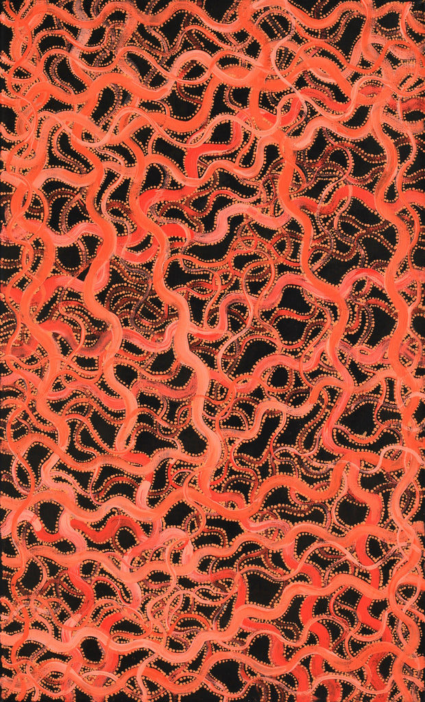 Aboriginal Artwork by Geraldine Napangardi Granites, Ngalyipi Jukurrpa (Snake Vine Dreaming) - Yanjirlpiri, 76x46cm