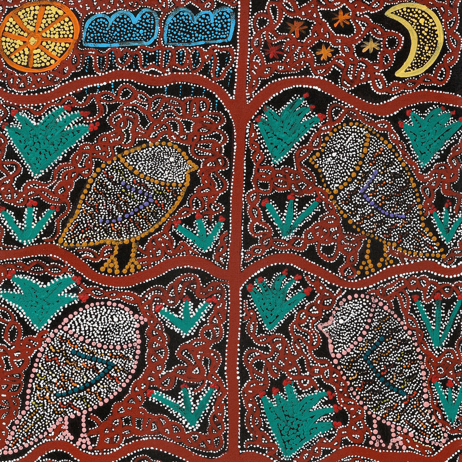 Aboriginal Artwork by Geraldine Napangardi Granites, Jurlpu kuja kalu nyinami Yurntumu-wana (Birds that live around Yuendumu), 91x46cm