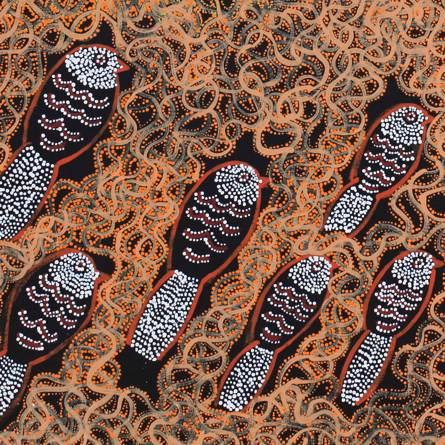 Aboriginal Artwork by Geraldine Napangardi Granites, Ngalyipi Jukurrpa (Snake Vine Dreaming) - Purturlu, 91x46cm