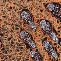 Aboriginal Artwork by Geraldine Napangardi Granites, Ngalyipi Jukurrpa (Snake Vine Dreaming) - Purturlu, 91x46cm