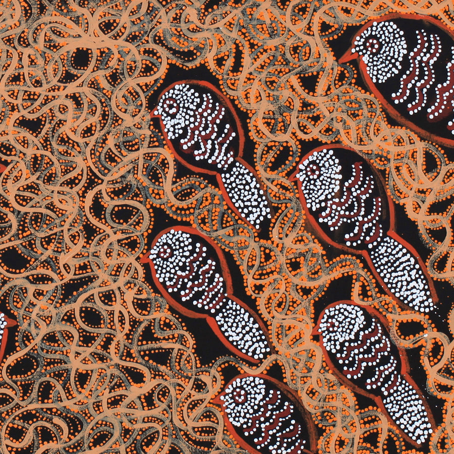 Aboriginal Artwork by Geraldine Napangardi Granites, Ngalyipi Jukurrpa (Snake Vine Dreaming) - Purturlu, 91x46cm