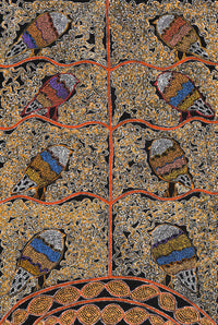 Aboriginal Artwork by Geraldine Napangardi Granites, Jurlpu kuja kalu nyinami Yurntumu-wana (Birds that live around Yuendumu), 91x61cm