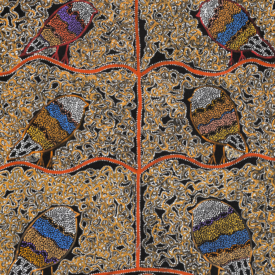 Aboriginal Artwork by Geraldine Napangardi Granites, Jurlpu kuja kalu nyinami Yurntumu-wana (Birds that live around Yuendumu), 91x61cm