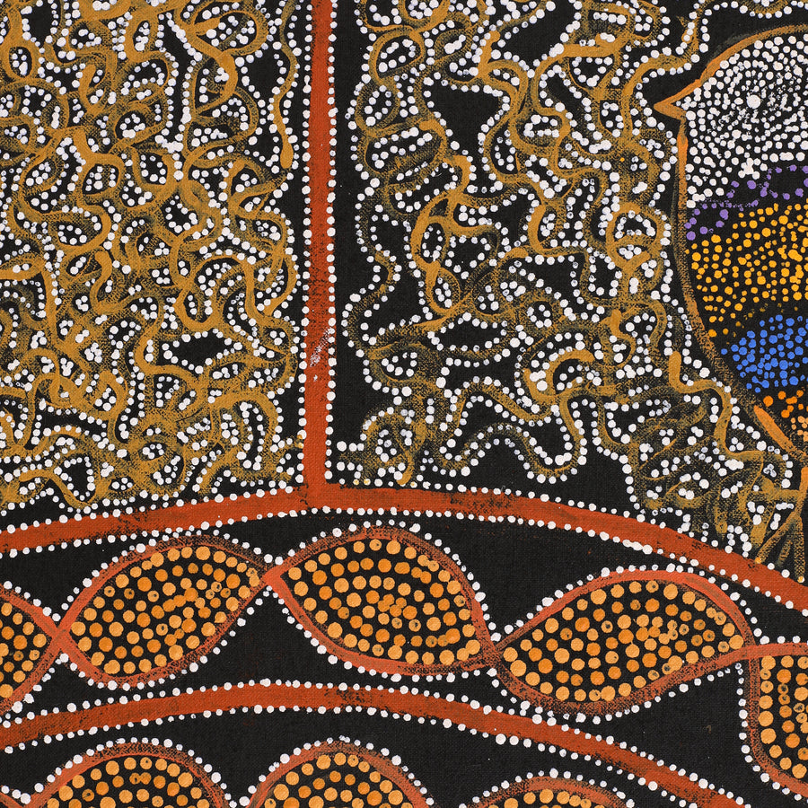 Aboriginal Artwork by Geraldine Napangardi Granites, Jurlpu kuja kalu nyinami Yurntumu-wana (Birds that live around Yuendumu), 91x61cm