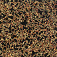 Aboriginal Artwork by Geraldine Napangardi Granites, Ngalyipi Jukurrpa (Snake Vine Dreaming) - Yanjirlpiri, 30x30cm