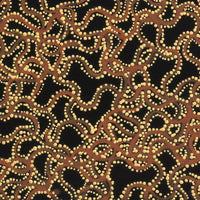 Aboriginal Artwork by Geraldine Napangardi Granites, Ngalyipi Jukurrpa (Snake Vine Dreaming) - Yanjirlpiri, 30x30cm