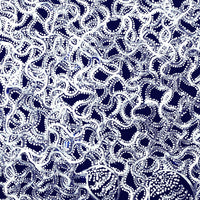Aboriginal Artwork by Geraldine Napangardi Granites, Jurlpu kuja kalu nyinami Yurntumu-wana, 46x46cm