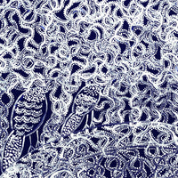 Aboriginal Artwork by Geraldine Napangardi Granites, Jurlpu kuja kalu nyinami Yurntumu-wana, 46x46cm