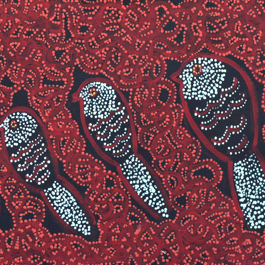 Aboriginal Artwork by Geraldine Napangardi Granites, Ngalyipi Jukurrpa (Snake Vine Dreaming) - Purturlu, 91x30cm