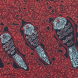 Aboriginal Artwork by Geraldine Napangardi Granites, Ngalyipi Jukurrpa (Snake Vine Dreaming) - Purturlu, 91x30cm - ART ARK®