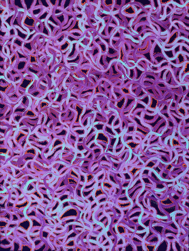 Aboriginal Artwork by Geraldine Napangardi Granites, Ngalyipi Jukurrpa (Snake Vine Dreaming) - Yanjirlpiri, 61x46cm