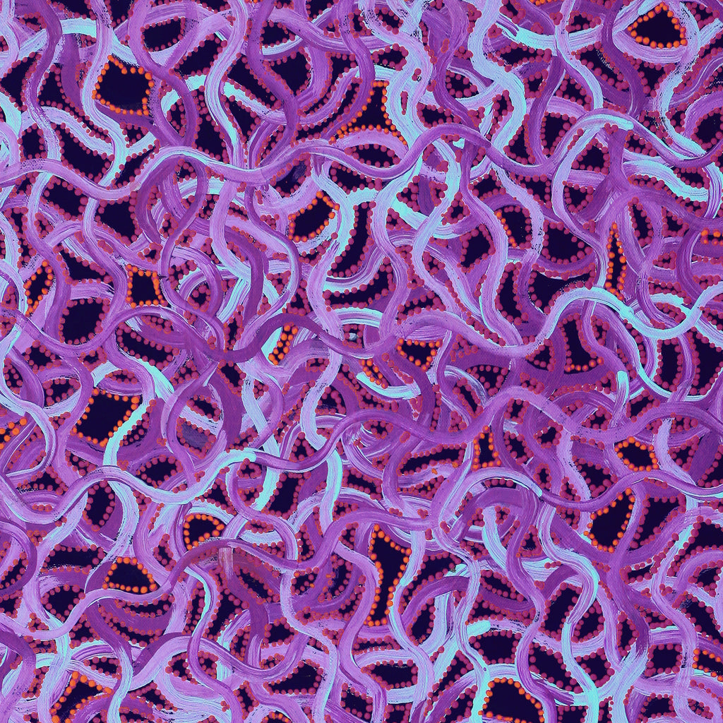 Aboriginal Artwork by Geraldine Napangardi Granites, Ngalyipi Jukurrpa (Snake Vine Dreaming) - Yanjirlpiri, 61x46cm
