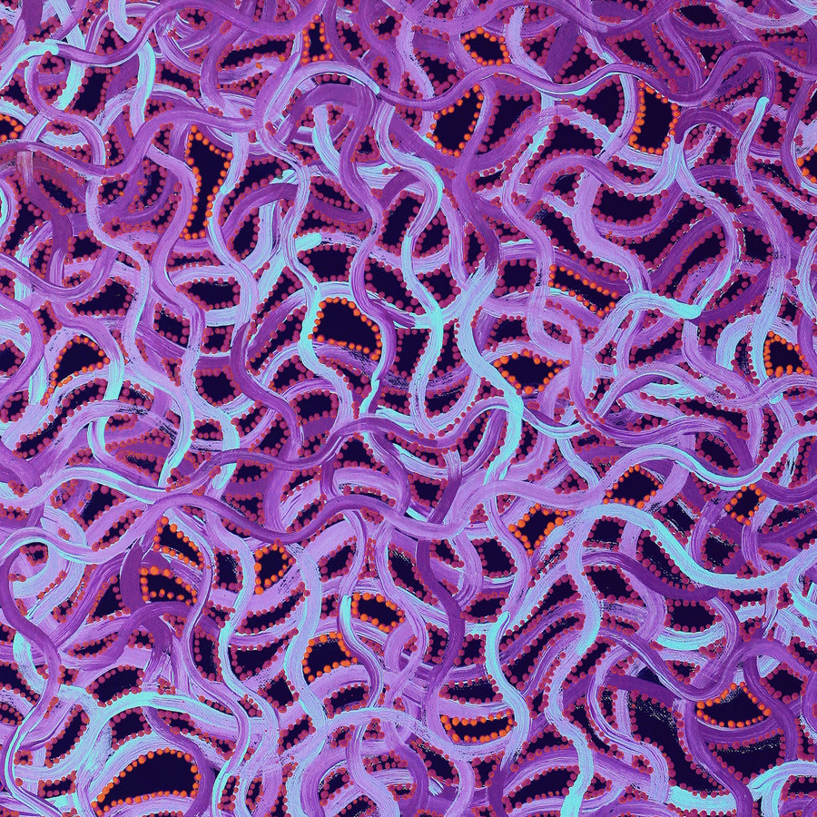 Aboriginal Artwork by Geraldine Napangardi Granites, Ngalyipi Jukurrpa (Snake Vine Dreaming) - Yanjirlpiri, 61x46cm