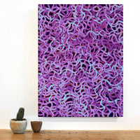 Aboriginal Artwork by Geraldine Napangardi Granites, Ngalyipi Jukurrpa (Snake Vine Dreaming) - Yanjirlpiri, 61x46cm