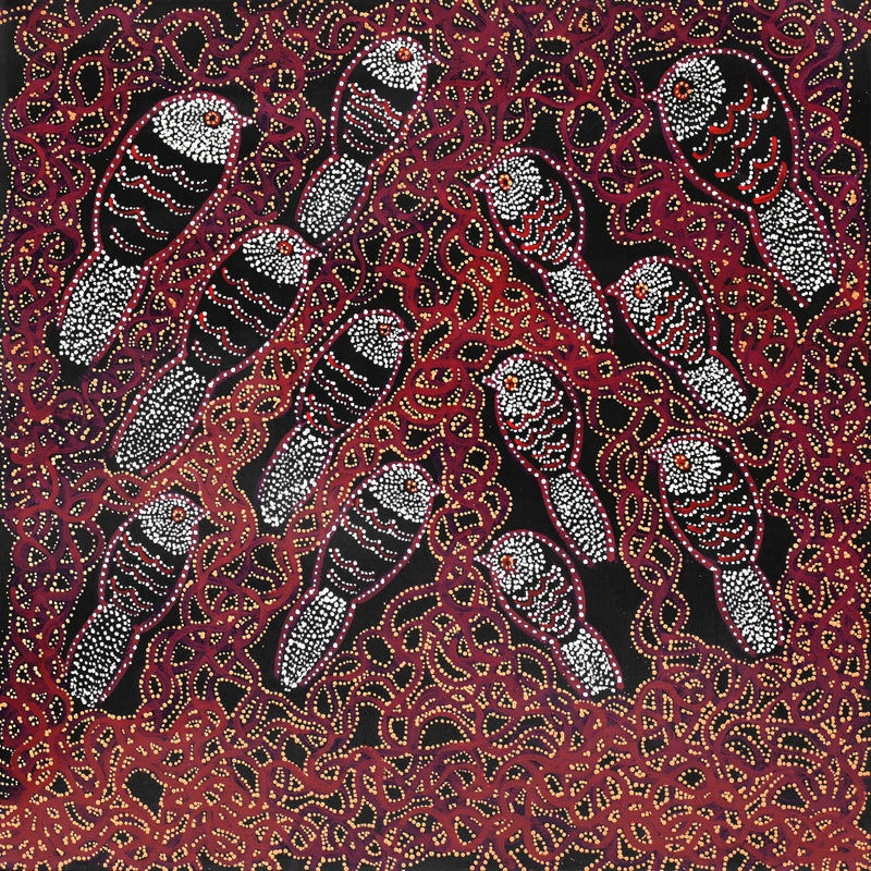 Aboriginal Artwork by Geraldine Napangardi Granites, Ngalyipi Jukurrpa (Snake Vine Dreaming) - Purturlu, 61x61cm