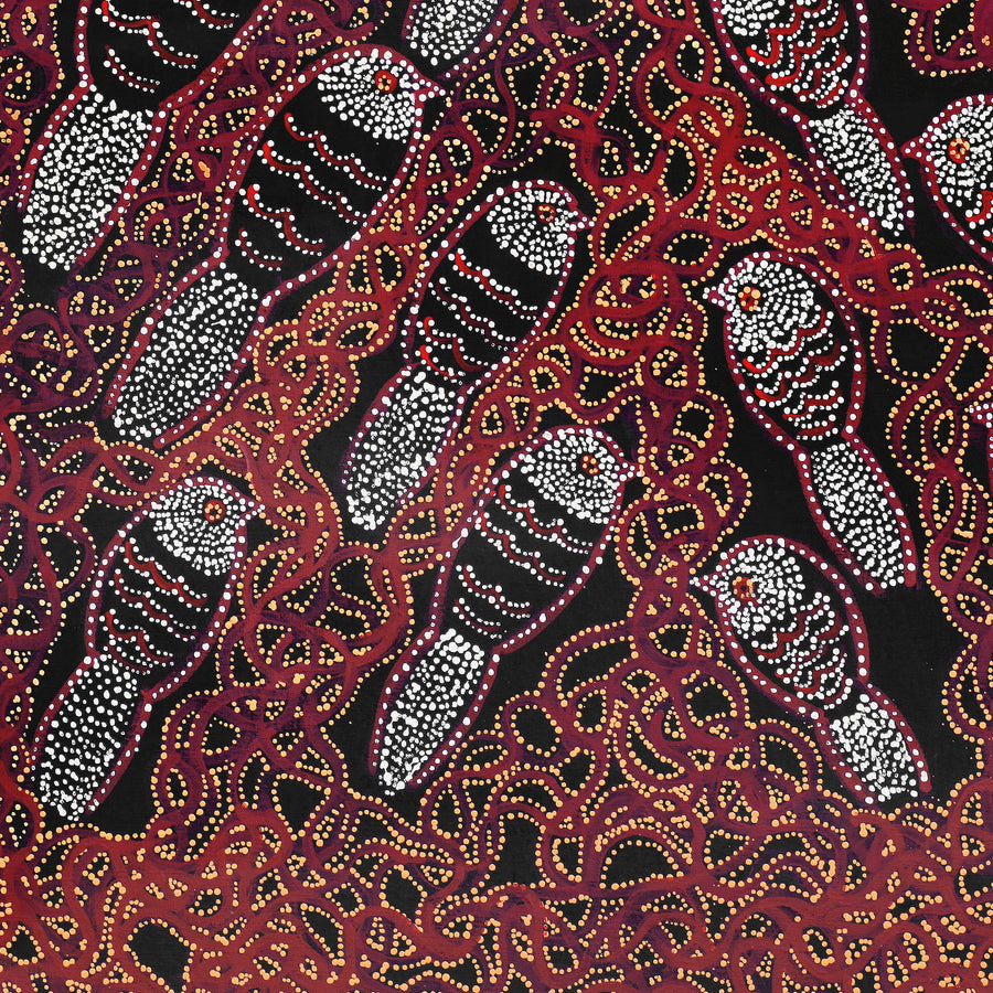 Aboriginal Artwork by Geraldine Napangardi Granites, Ngalyipi Jukurrpa (Snake Vine Dreaming) - Purturlu, 61x61cm
