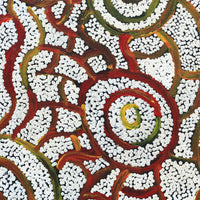 Aboriginal Artwork by Glen Jampijinpa Martin, Janganpa Jukurrpa (Brush-tail Possum Dreaming) - Mawurrji, 30x30cm